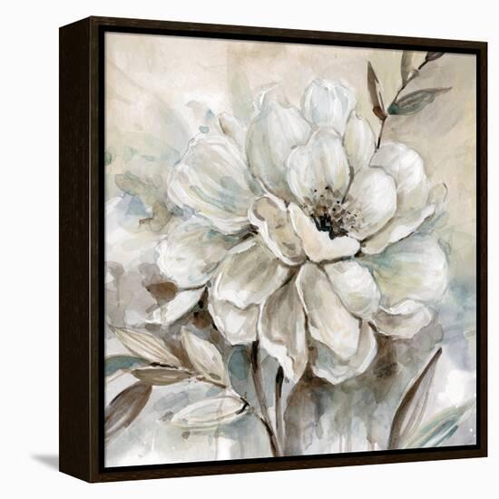 Neutral Bloom I-Carol Robinson-Framed Stretched Canvas