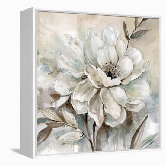 Neutral Bloom I-Carol Robinson-Framed Stretched Canvas