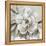 Neutral Bloom II-Carol Robinson-Framed Stretched Canvas