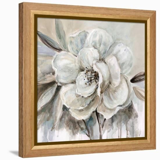 Neutral Bloom II-Carol Robinson-Framed Stretched Canvas