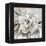 Neutral Bloom II-Carol Robinson-Framed Stretched Canvas