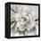 Neutral Bloom II-Carol Robinson-Framed Stretched Canvas