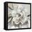 Neutral Bloom II-Carol Robinson-Framed Stretched Canvas