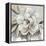 Neutral Bloom II-Carol Robinson-Framed Stretched Canvas