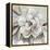 Neutral Bloom II-Carol Robinson-Framed Stretched Canvas