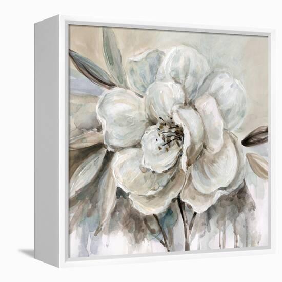Neutral Bloom II-Carol Robinson-Framed Stretched Canvas