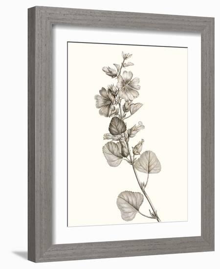 Neutral Botanical Study I-Vision Studio-Framed Art Print