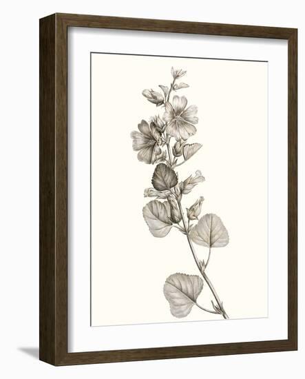 Neutral Botanical Study I-Vision Studio-Framed Art Print