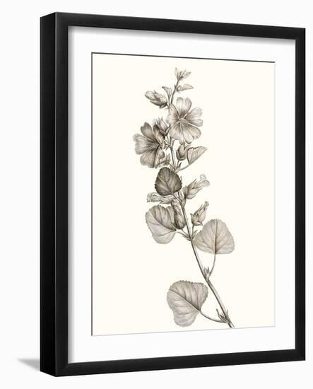 Neutral Botanical Study I-Vision Studio-Framed Art Print