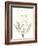 Neutral Botanical Study IX-Vision Studio-Framed Art Print