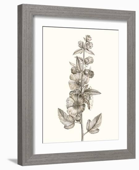 Neutral Botanical Study V-Vision Studio-Framed Art Print