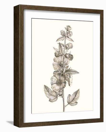 Neutral Botanical Study V-Vision Studio-Framed Art Print