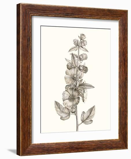 Neutral Botanical Study V-Vision Studio-Framed Art Print