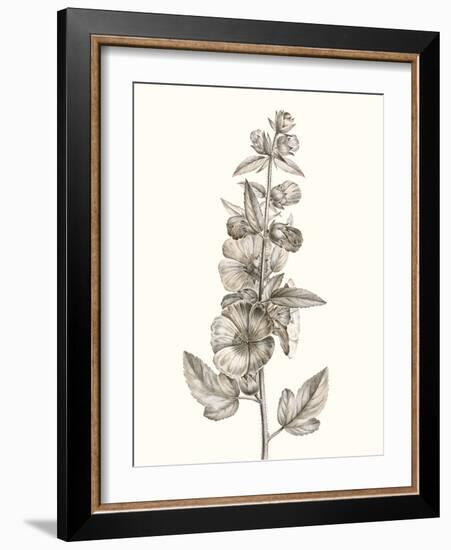 Neutral Botanical Study V-Vision Studio-Framed Art Print