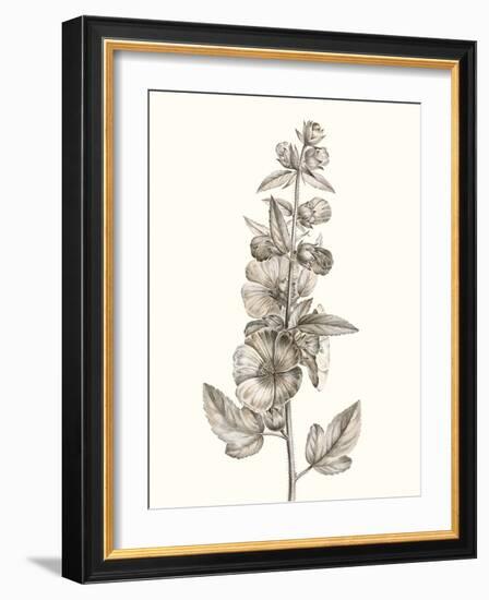 Neutral Botanical Study V-Vision Studio-Framed Art Print