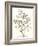 Neutral Botanical Study VI-Vision Studio-Framed Art Print