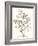 Neutral Botanical Study VI-Vision Studio-Framed Art Print