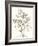 Neutral Botanical Study VI-Vision Studio-Framed Art Print