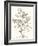 Neutral Botanical Study VI-Vision Studio-Framed Art Print