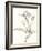 Neutral Botanical Study VII-Vision Studio-Framed Art Print