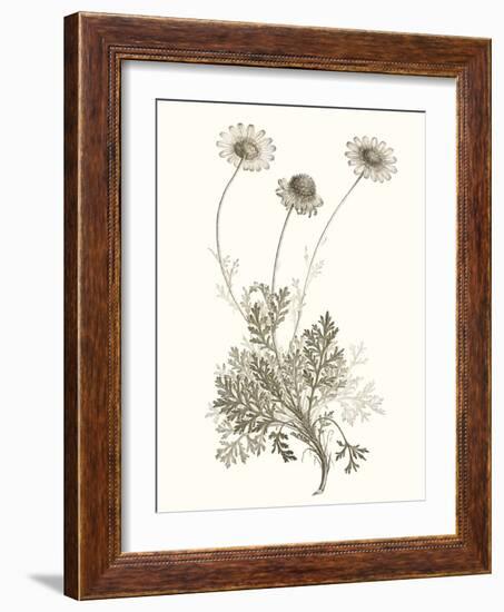 Neutral Botanical Study VIII-Vision Studio-Framed Art Print