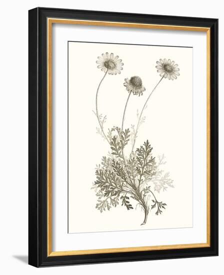 Neutral Botanical Study VIII-Vision Studio-Framed Art Print