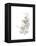 Neutral Botany I-June Vess-Framed Stretched Canvas