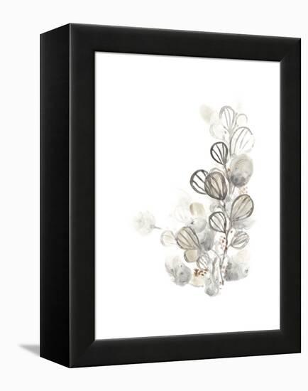 Neutral Botany I-June Vess-Framed Stretched Canvas