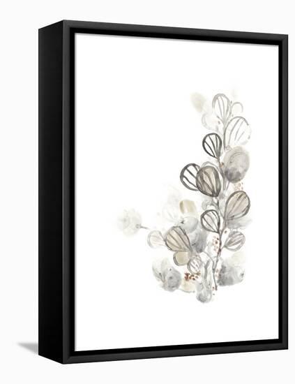 Neutral Botany I-June Vess-Framed Stretched Canvas