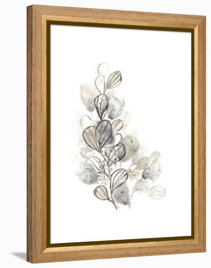 Neutral Botany II-June Vess-Framed Stretched Canvas