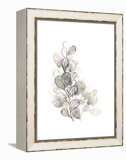 Neutral Botany II-June Vess-Framed Stretched Canvas