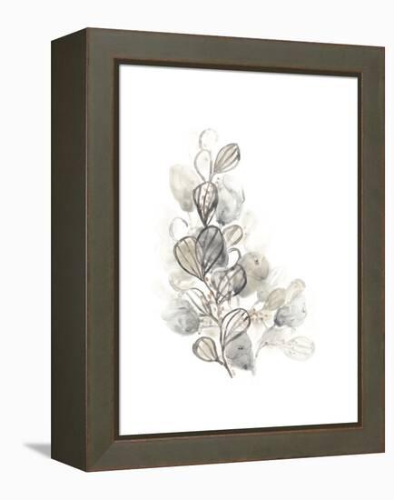 Neutral Botany II-June Vess-Framed Stretched Canvas