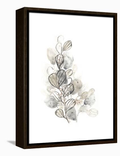 Neutral Botany II-June Vess-Framed Stretched Canvas