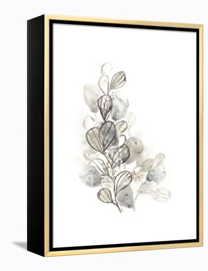 Neutral Botany II-June Vess-Framed Stretched Canvas