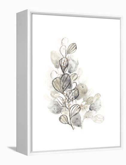 Neutral Botany II-June Vess-Framed Stretched Canvas