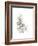 Neutral Botany II-June Vess-Framed Premium Giclee Print