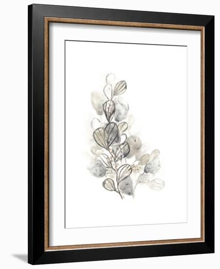 Neutral Botany II-June Vess-Framed Premium Giclee Print