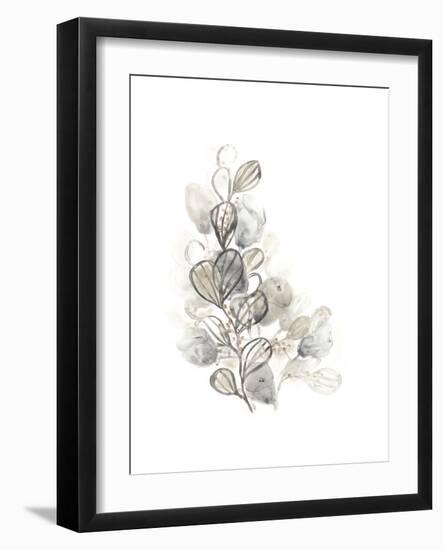 Neutral Botany II-June Vess-Framed Premium Giclee Print