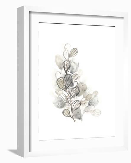 Neutral Botany II-June Vess-Framed Premium Giclee Print