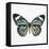 Neutral Butterfly-Jace Grey-Framed Stretched Canvas