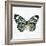 Neutral Butterfly-Jace Grey-Framed Art Print