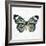 Neutral Butterfly-Jace Grey-Framed Art Print