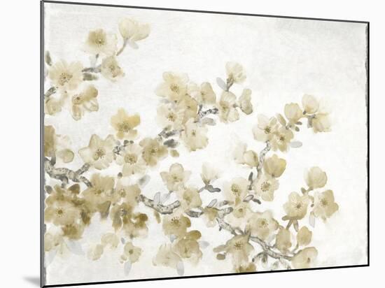 Neutral Cherry Blossom Composition II-Tim OToole-Mounted Premium Giclee Print