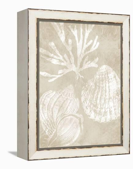 Neutral Coral I-Carol Robinson-Framed Stretched Canvas