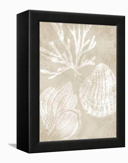 Neutral Coral I-Carol Robinson-Framed Stretched Canvas