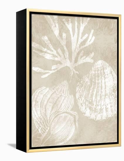 Neutral Coral I-Carol Robinson-Framed Stretched Canvas