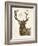 Neutral Deer I-Gwendolyn Babbitt-Framed Art Print