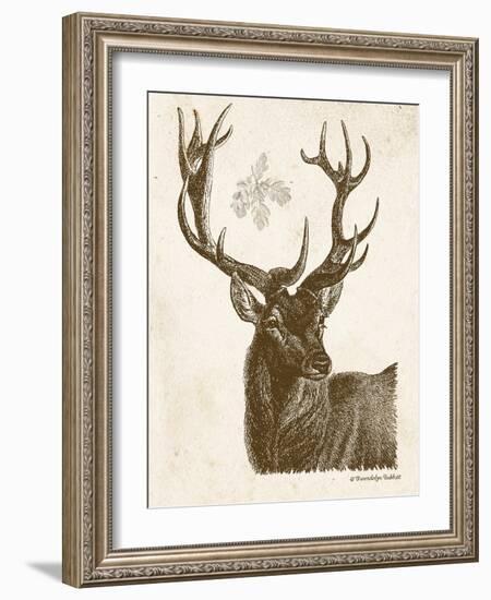 Neutral Deer I-Gwendolyn Babbitt-Framed Art Print