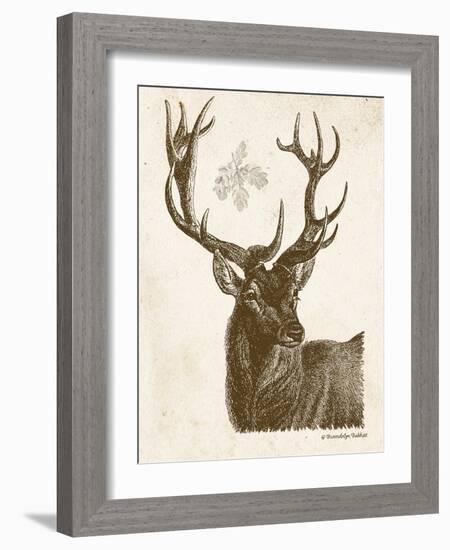 Neutral Deer I-Gwendolyn Babbitt-Framed Art Print