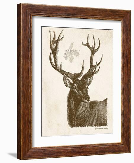 Neutral Deer I-Gwendolyn Babbitt-Framed Art Print